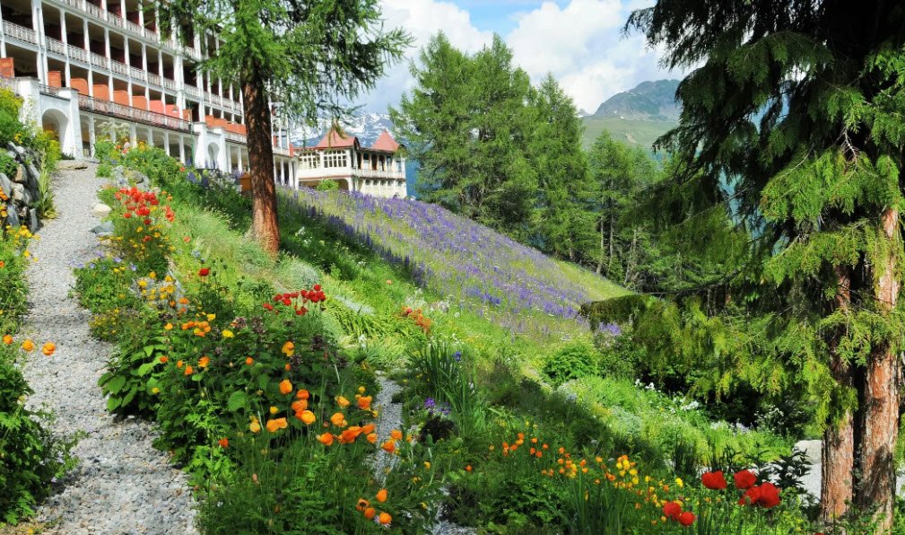 Botanischer Alpengarten Schatzalp Alpinum, Switzerland